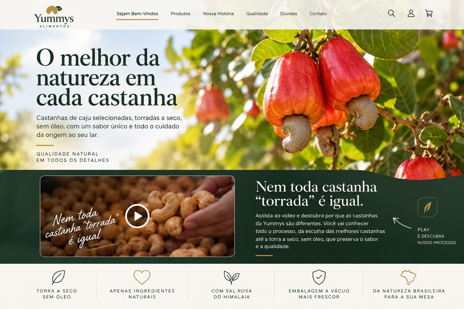Cajus vermelhos maduros no cajueiro